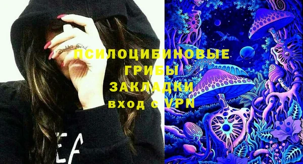 кокс Арсеньев